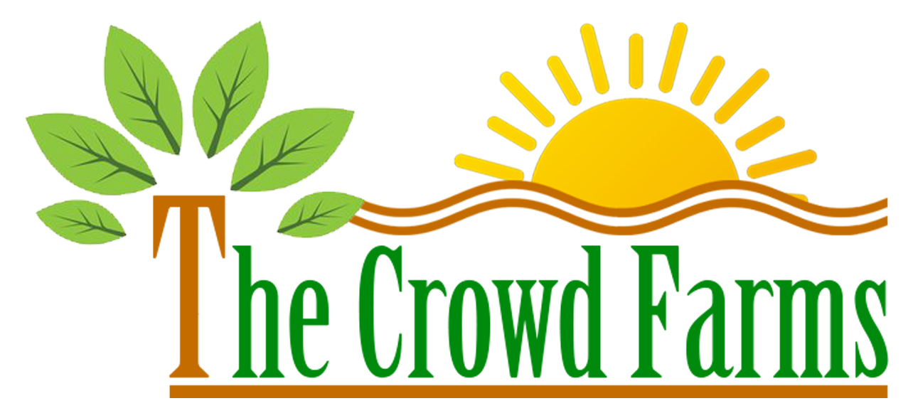 The Crowd Farm Logo